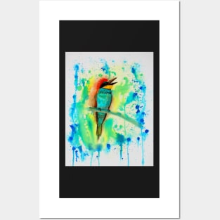 Bee-eater splash! Posters and Art